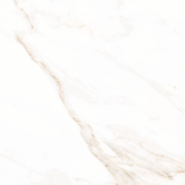 Frost Snow 24×24 Field Tile Polished Rectified