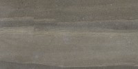 Crux Mica 12×24 Field Tile