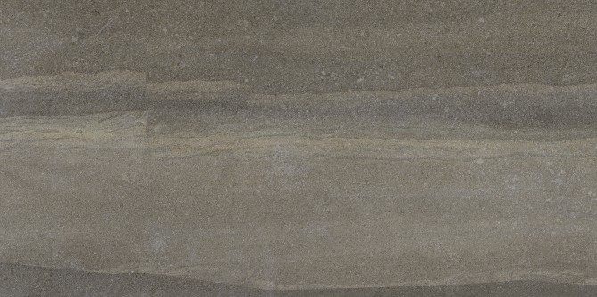 Crux Mica 12×24 Field Tile