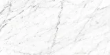 Marbles Carrara White 12×24 Field Tile