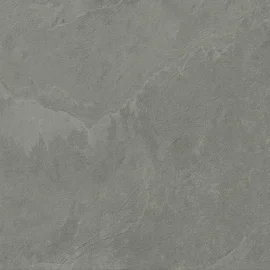 Albany Fossil 24×24 Field Tile Rectified