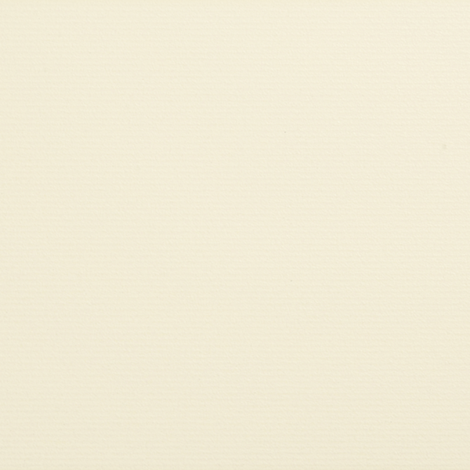 Retroactive 2.0 Empress White 12×12 Field Tile Patterned