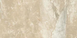 Danya Cove 12×24 Field Tile Matte