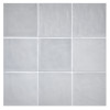 TrueTones Ceramics Greyity Gloss 4-1/2×4-1/2 Zelli Field Tile Gloss