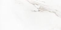 Frost Snow 12×24 Field Tile Matte Rectified