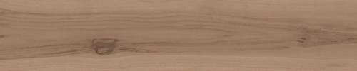 Valdivian Beige 8×40 Field Tile