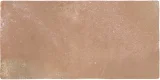 Roots Cotto 9×17 Field Tile Matte