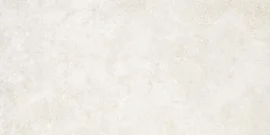 Untamed White 24×48 Field Tile Matte Rectified