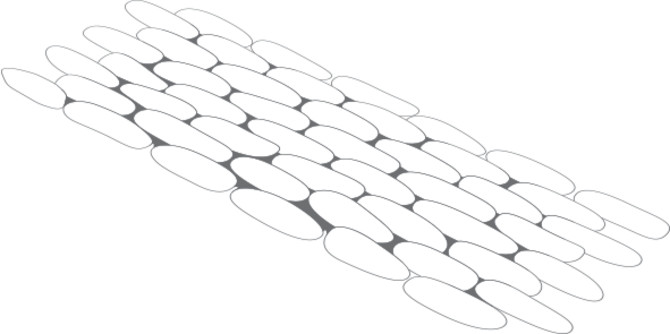 Color Variation Image