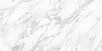 La Marca Statuarietto 24X48 Polished Rectified