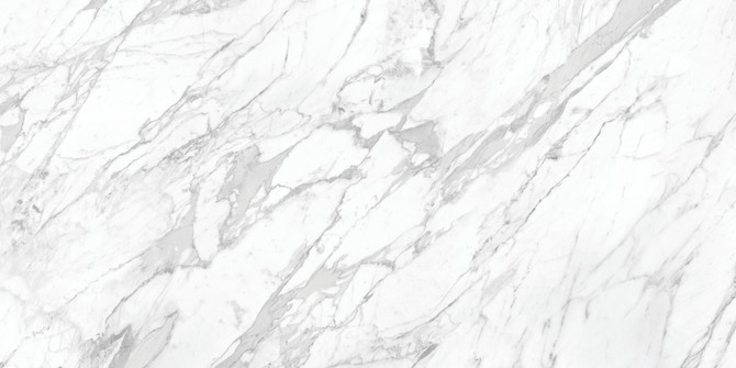 La Marca Statuarietto 24X48 Polished Rectified