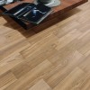 Knoxwood Ginger 6x24