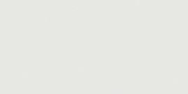 Prima True White 24X48 Field Tile Matte Rectified