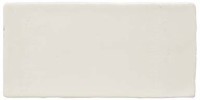 Cafe Latte 8×24 Field Tile Glossy
