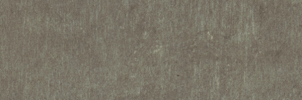 Gotham Mainline 2×6 Field Tile Matte
