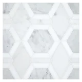 Specialty Mosaic Collection Italian Carrara Honed, Asian Carrara Ultra Premium Honed, And Thassos Select Polished 6×12 Metro Hex Mosaic Mixed