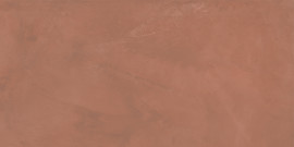 Join Spice 12×24 Field Tile Soft Rectified