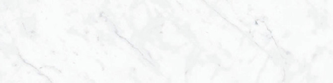 Carrara 3×12 Field Tile Honed Rectified