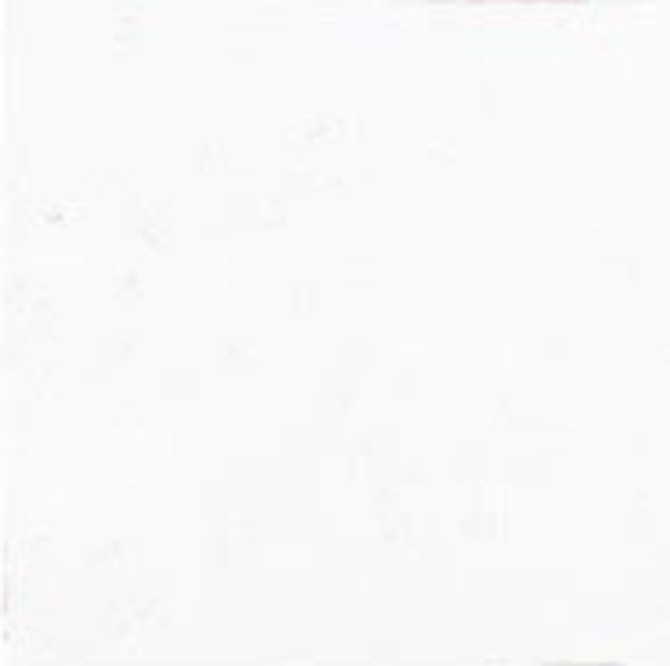 Mestizaje Zellige White 5×5 Field Tile Matte