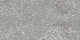Pike Place Med Gray 4×8 Field Tile