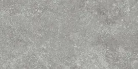 Pike Place Med Gray 4×8 Field Tile