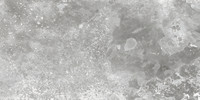 Quest Gray 4×12 Bullnose