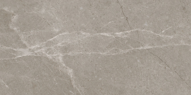 Chateau Townes 12×24 Field Tile Matte