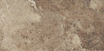 Journey Path 12×24 Field Tile Matte