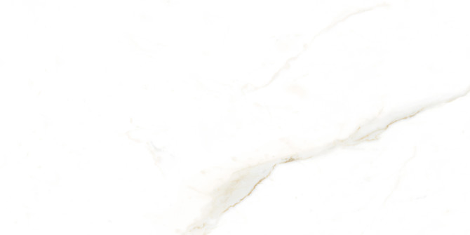 Cassidy White 12×24 Field Tile