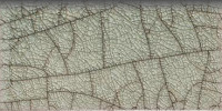 Euphoria 3×6 Bullnose (6″ Glazed Edge)