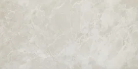 Eterna Gray 24×48 Field Tile Matte Rectified