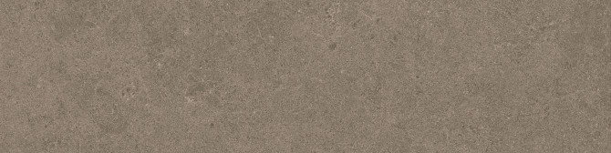 Argent 2.0 Concrete Jungle 6×24 Field Tile Rectified