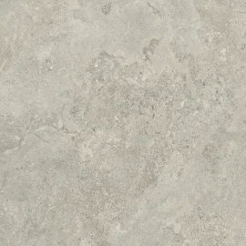 Pictured Rocks Fog 32×32 Field Tile Matte Rectified