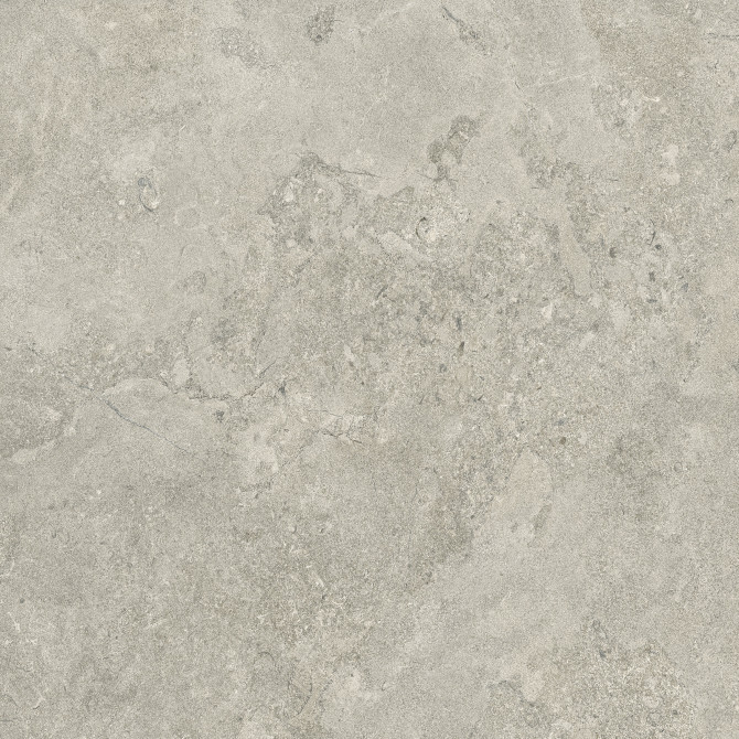 Pictured Rocks Fog 32×32 Field Tile Matte Rectified