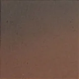 Quarry Naturals Fire Flash 8×8 Field Tile Matte