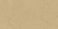 Argent 2.0 Golden Glow 12×24 Field Tile Rectified