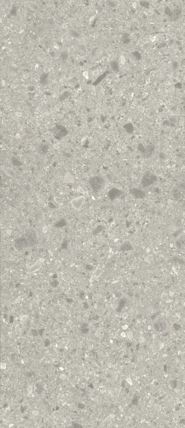 Pictured Rocks Aggregate 47×110 Slab Matte Rectified