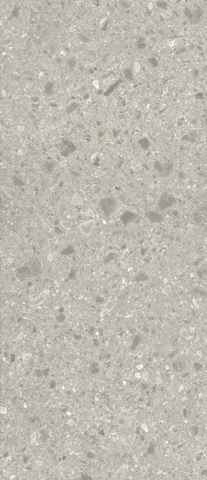 Pictured Rocks Aggregate 47×110 Slab Matte Rectified