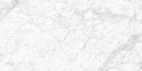 Majesto Bianco Gioia 24×48 Field Tile Honed Rectified