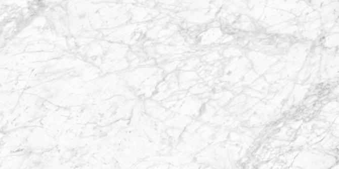 Majesto Bianco Gioia 24×48 Field Tile Honed Rectified