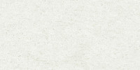 Delphin White 12×24 Field Tile