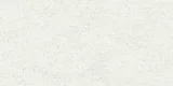 Delphin White 12×24 Field Tile