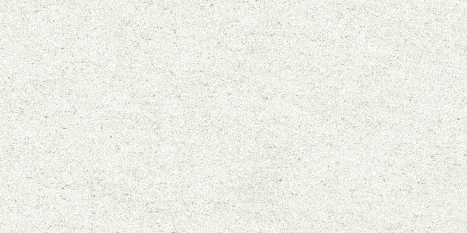 Delphin White 12×24 Field Tile