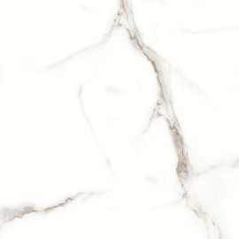 Caspar Calacatta 24×24 Field Tile Matte Rectified