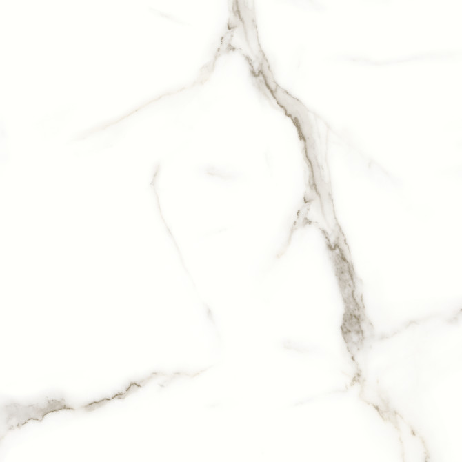Caspar Calacatta 24×24 Field Tile Polished Rectified