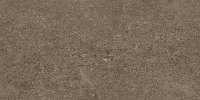 Infinity Earth 12×24 Field Tile Matte Rectified