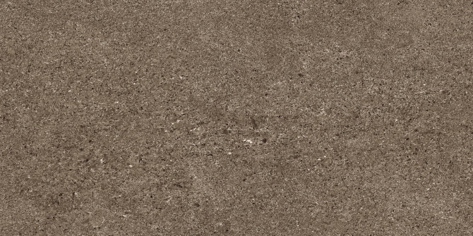 Infinity Earth 12×24 Field Tile Matte Rectified