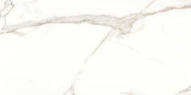 Caspar Calacatta 24×48 Field Tile Polished Rectified