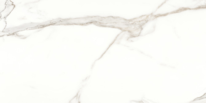 Caspar Calacatta 24×48 Field Tile Polished Rectified