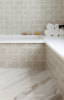 Polychrome PW1 with Silver Scraffito C 5x10. Designer: Kishani Perera Interior Design. Photographer: Joe Schmeltzer